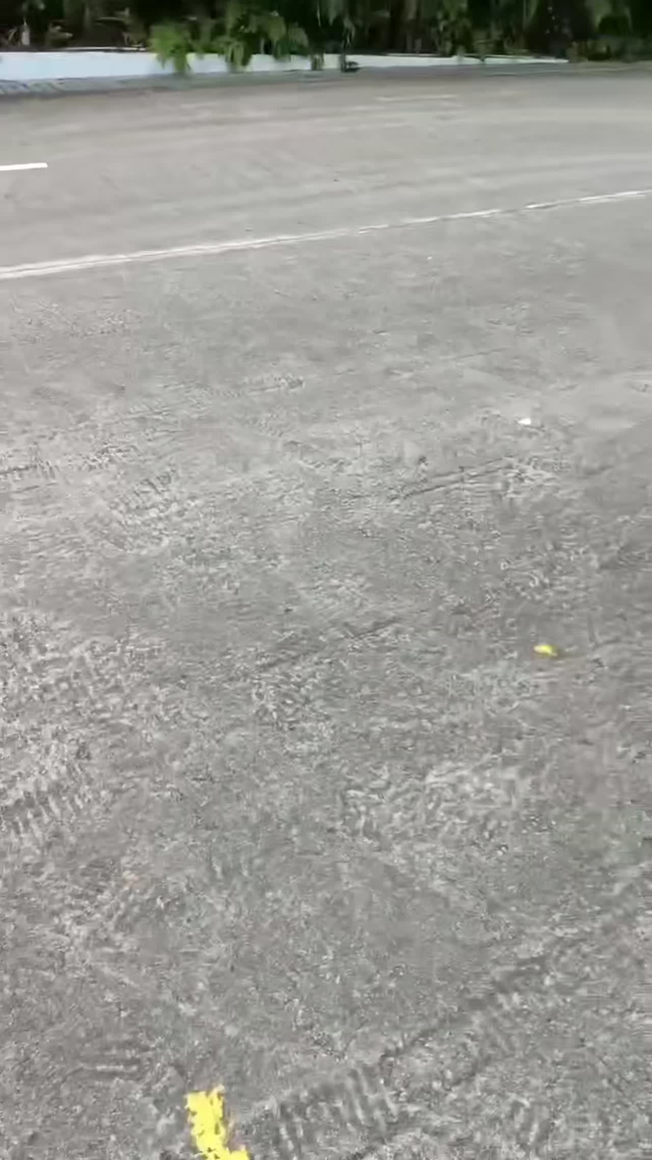 Singapore Parking Project
